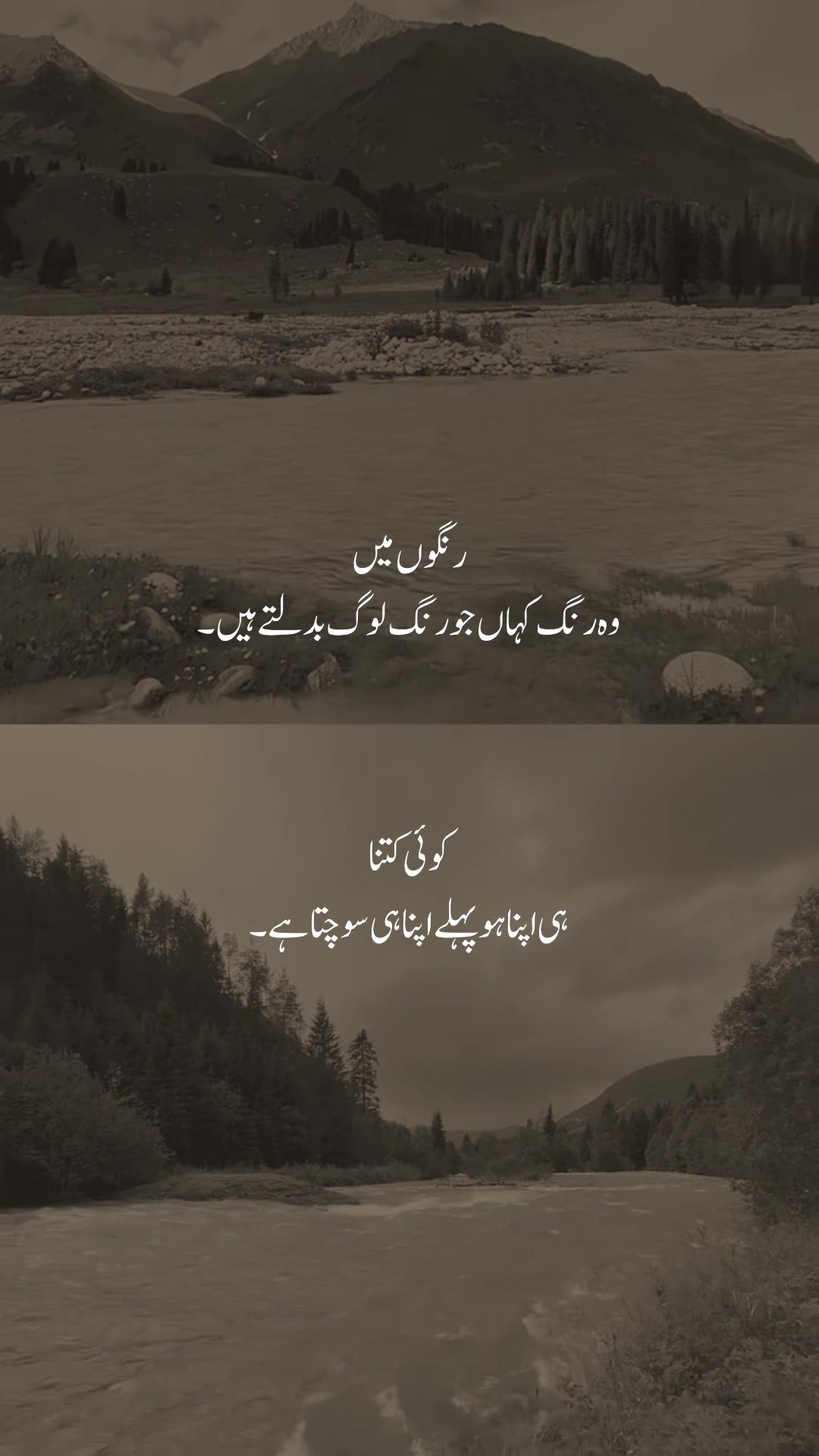 @𓆩شیراز𓆪