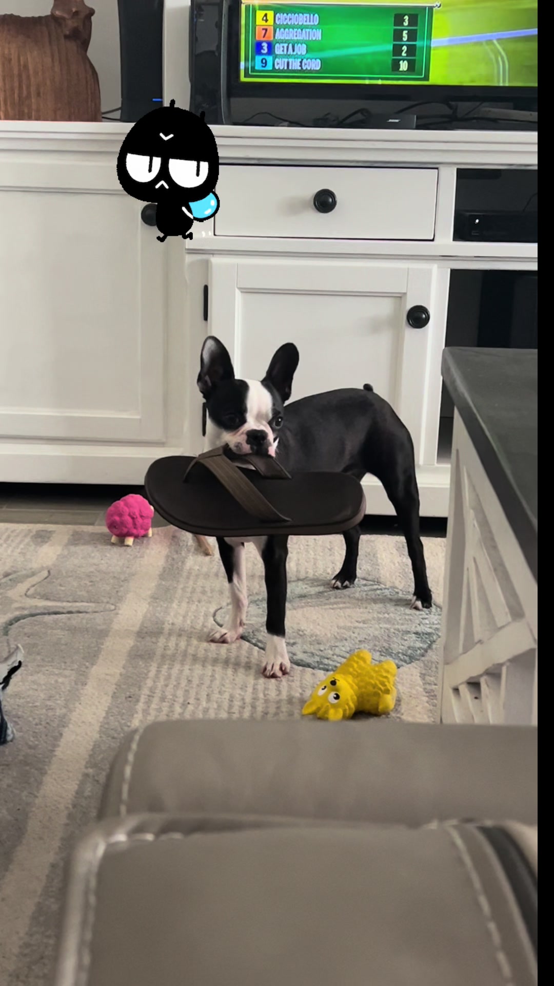 @Cristy Cate Wappler