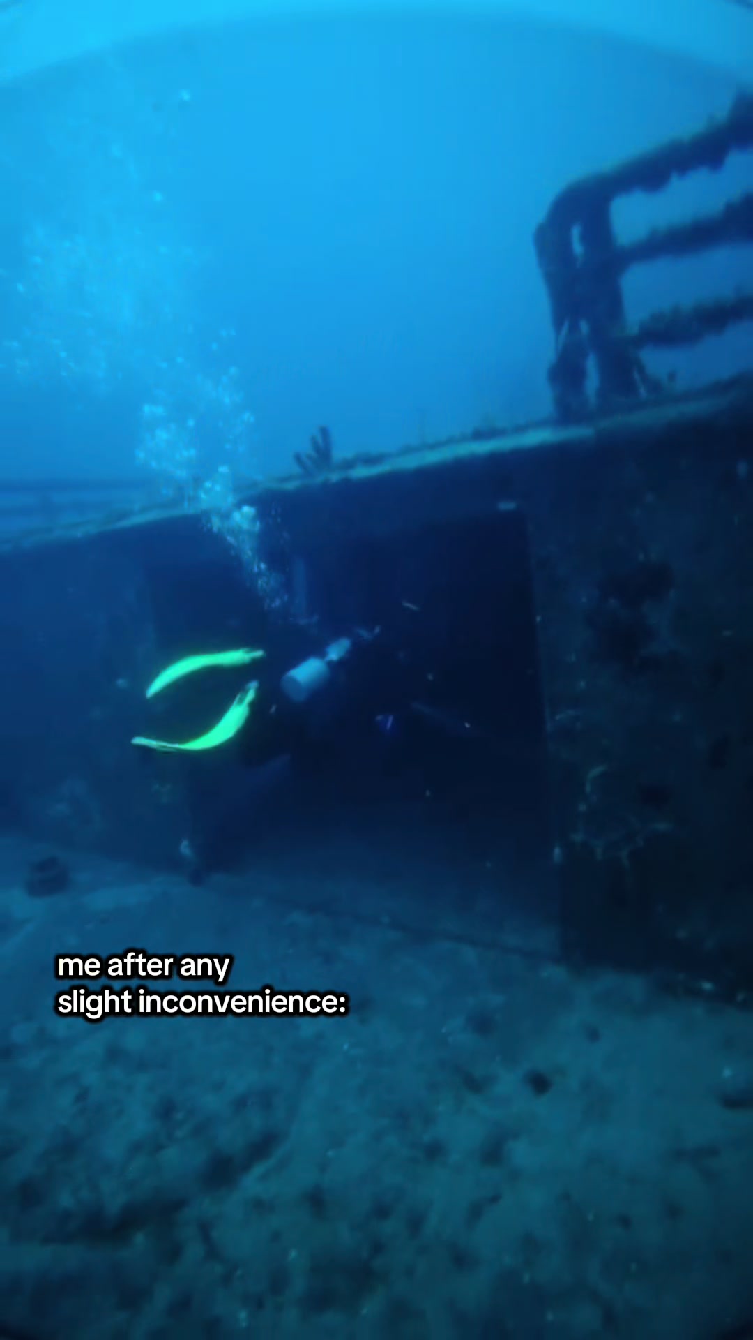 @marinebiotok🪸🤿