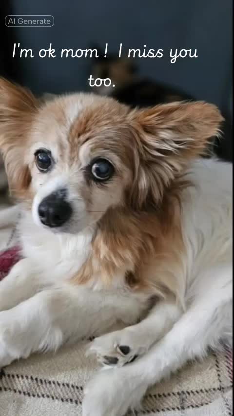 @mickey51801