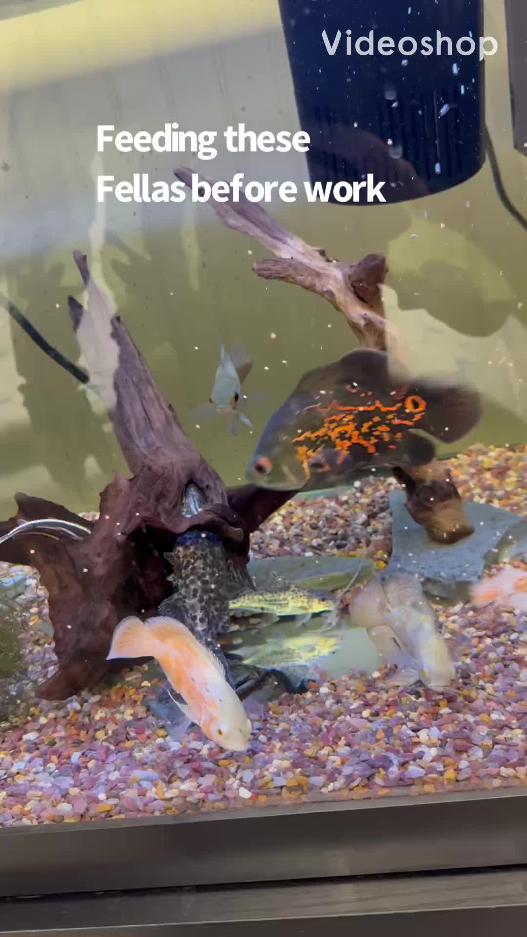 @fishdaddy2002