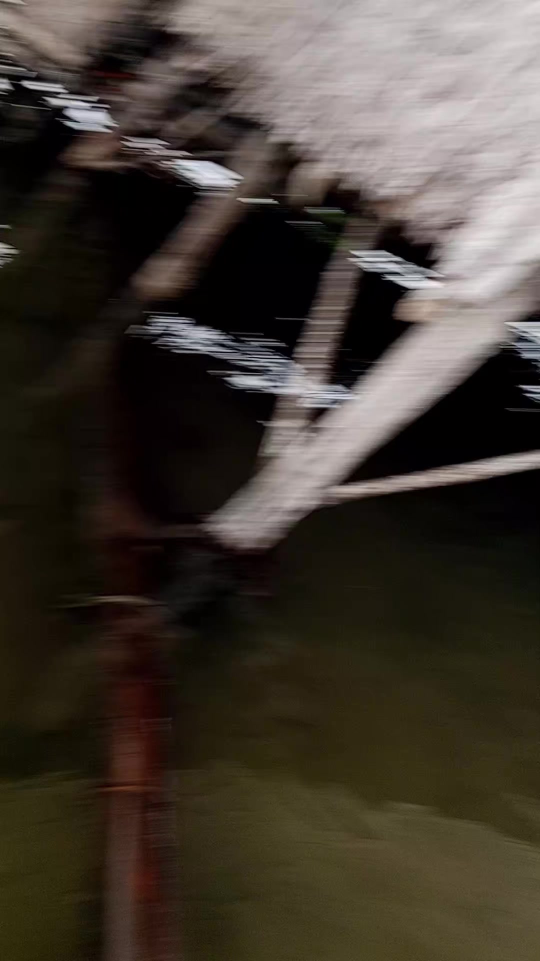 @🦷Kangipin🦷
