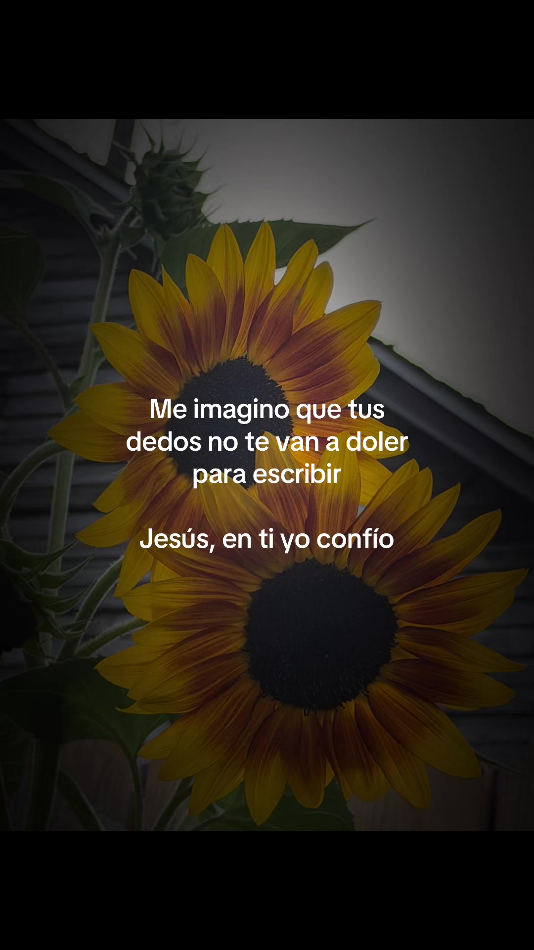 @❤️la resentida💘