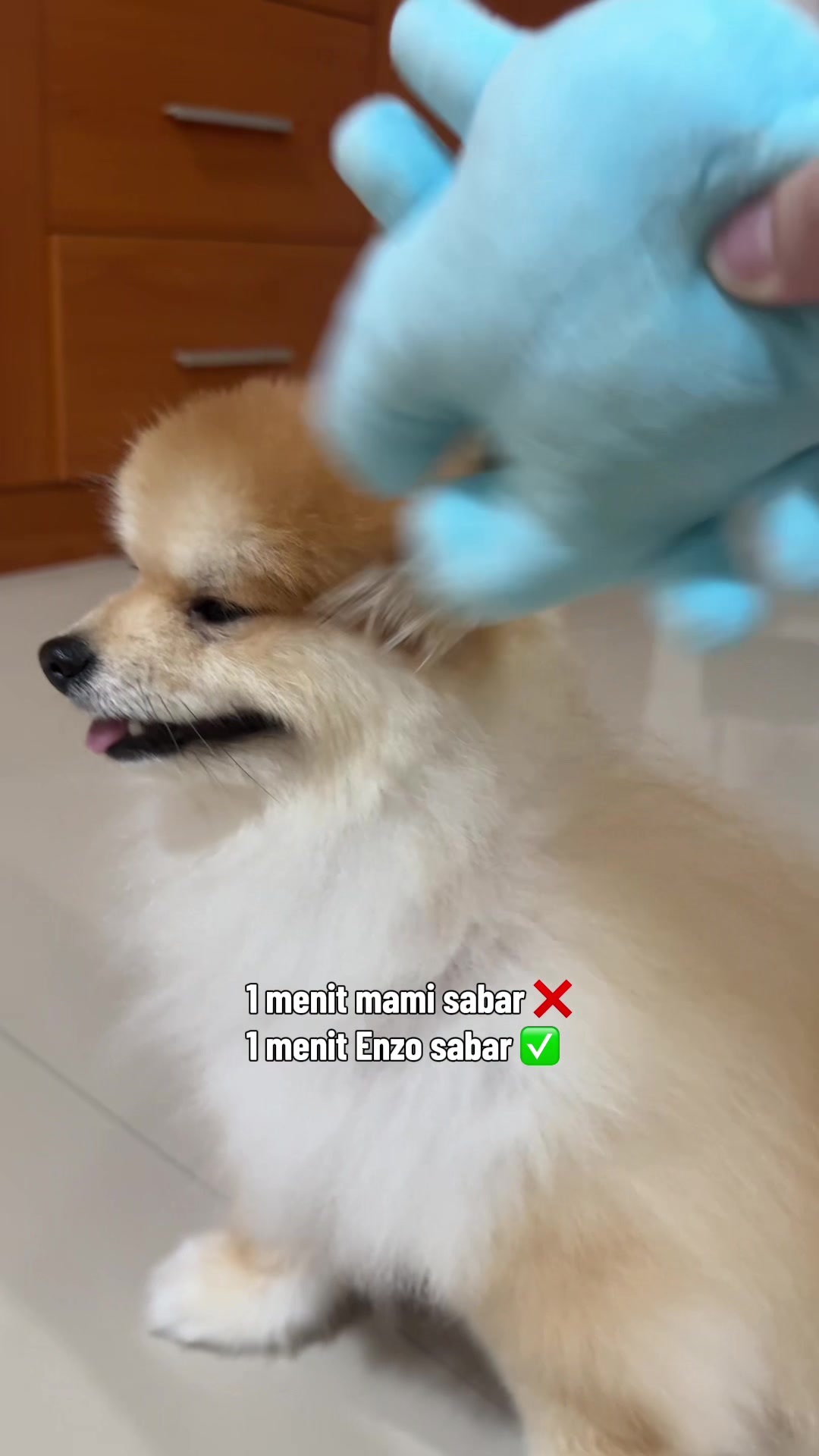 @Enzo