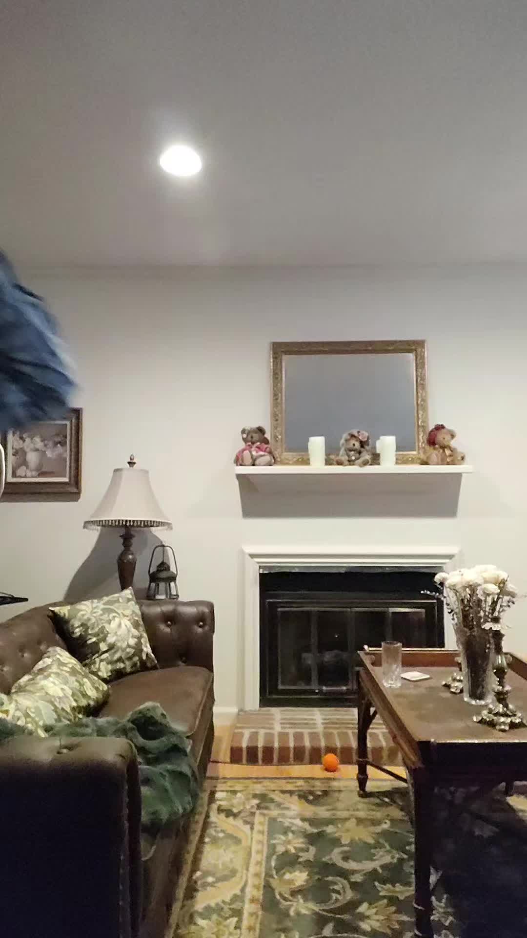 @the.nicholass