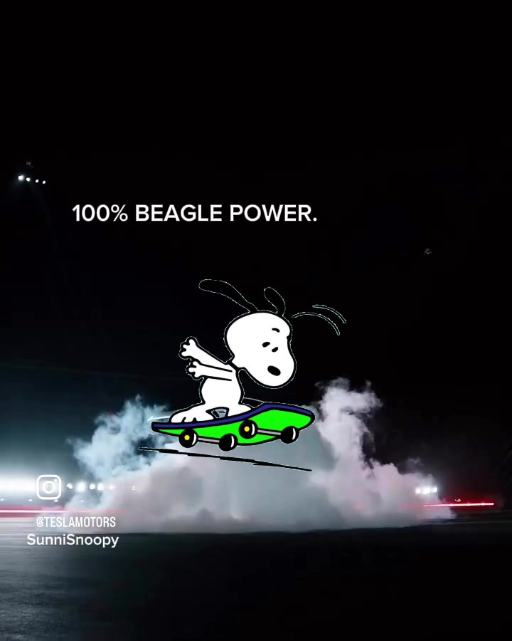 @SunniSnoopy | PEANUTS