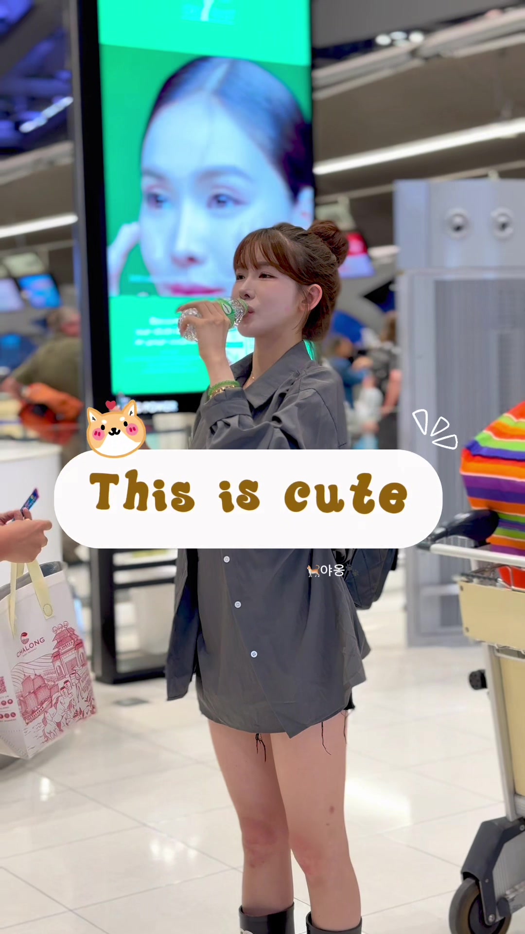 @🐈야옹야옹🐾