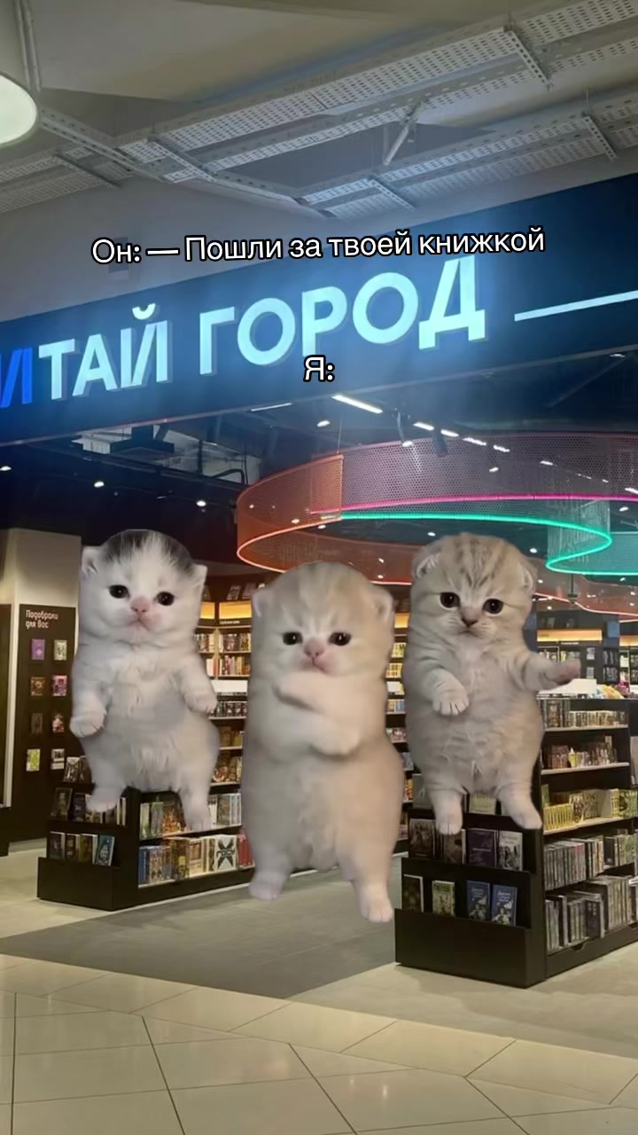@Та самая Ардер ✨