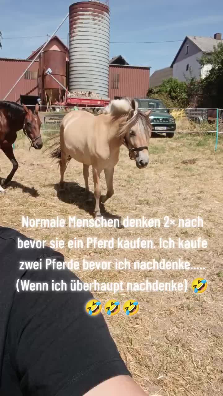 @Elise.blau
