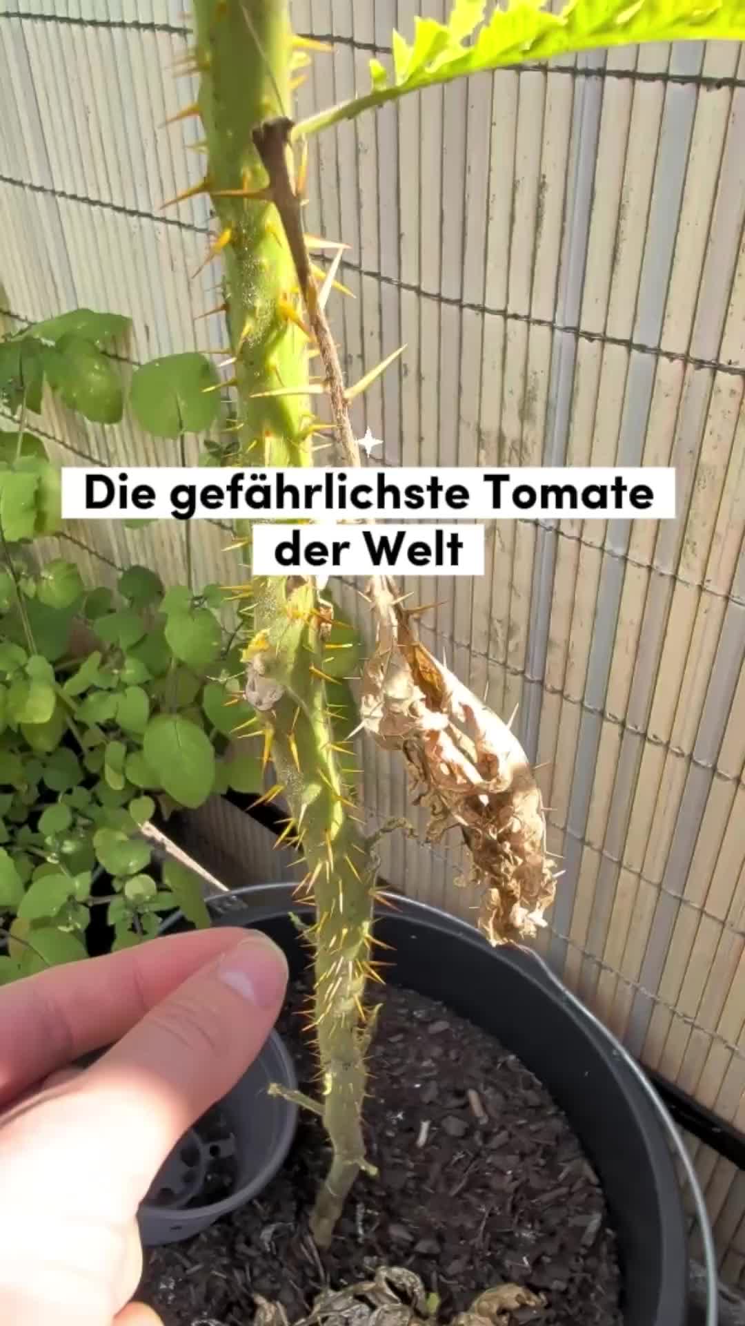 @ErnteExperte