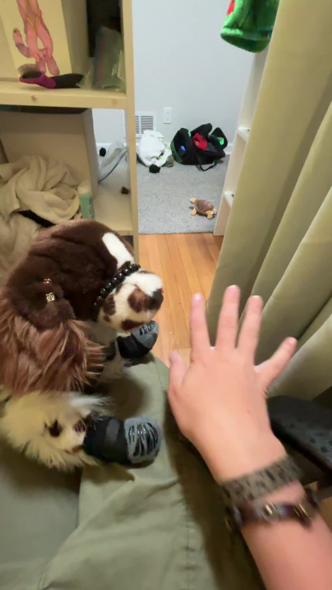 @pupplace