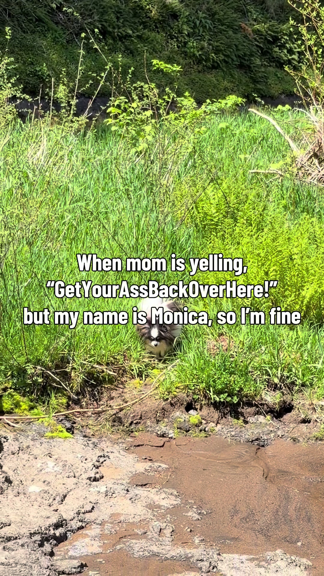 @oregonskyveek