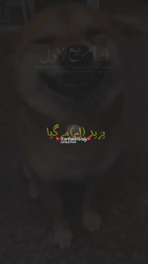 @Syed Abbas Raza