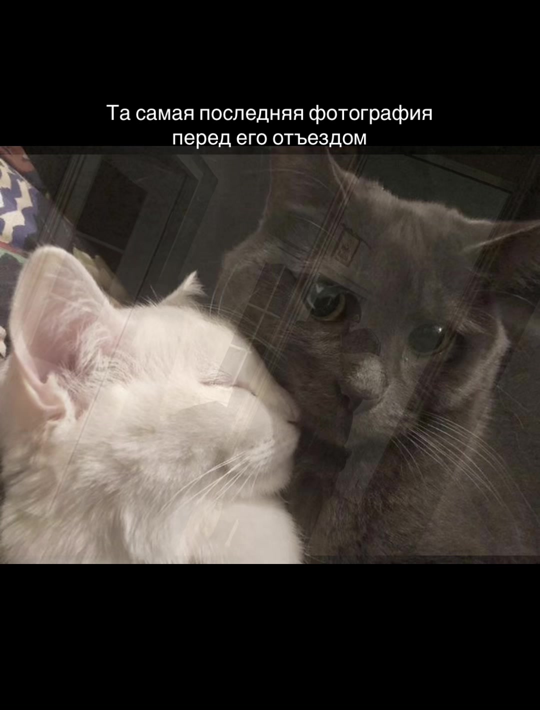 @жижа