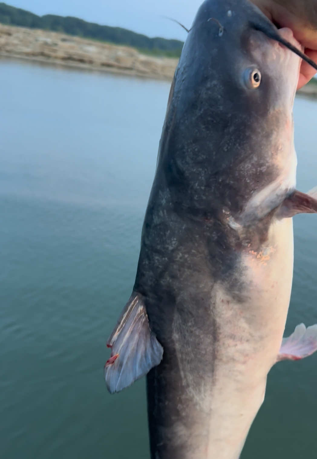 @Kentucky Fishing