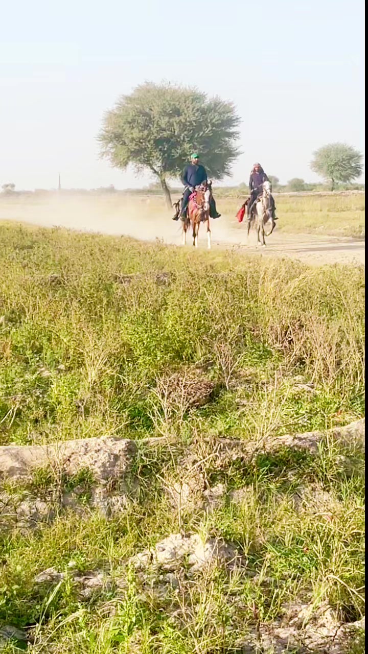 @Arbab Ameer Inamullah