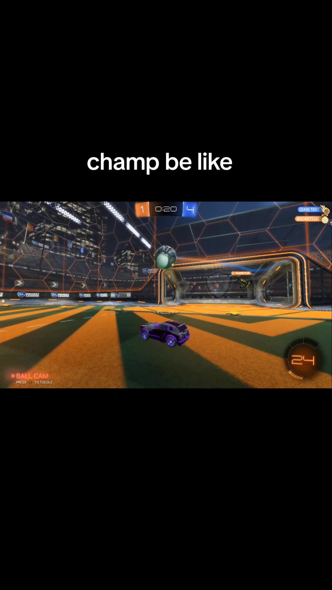 @That1BearGuy - RL