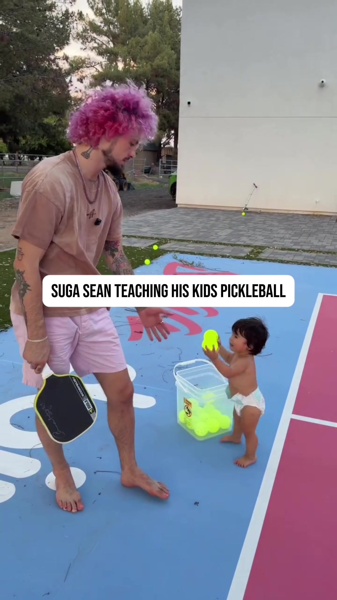@pickleballdotcom