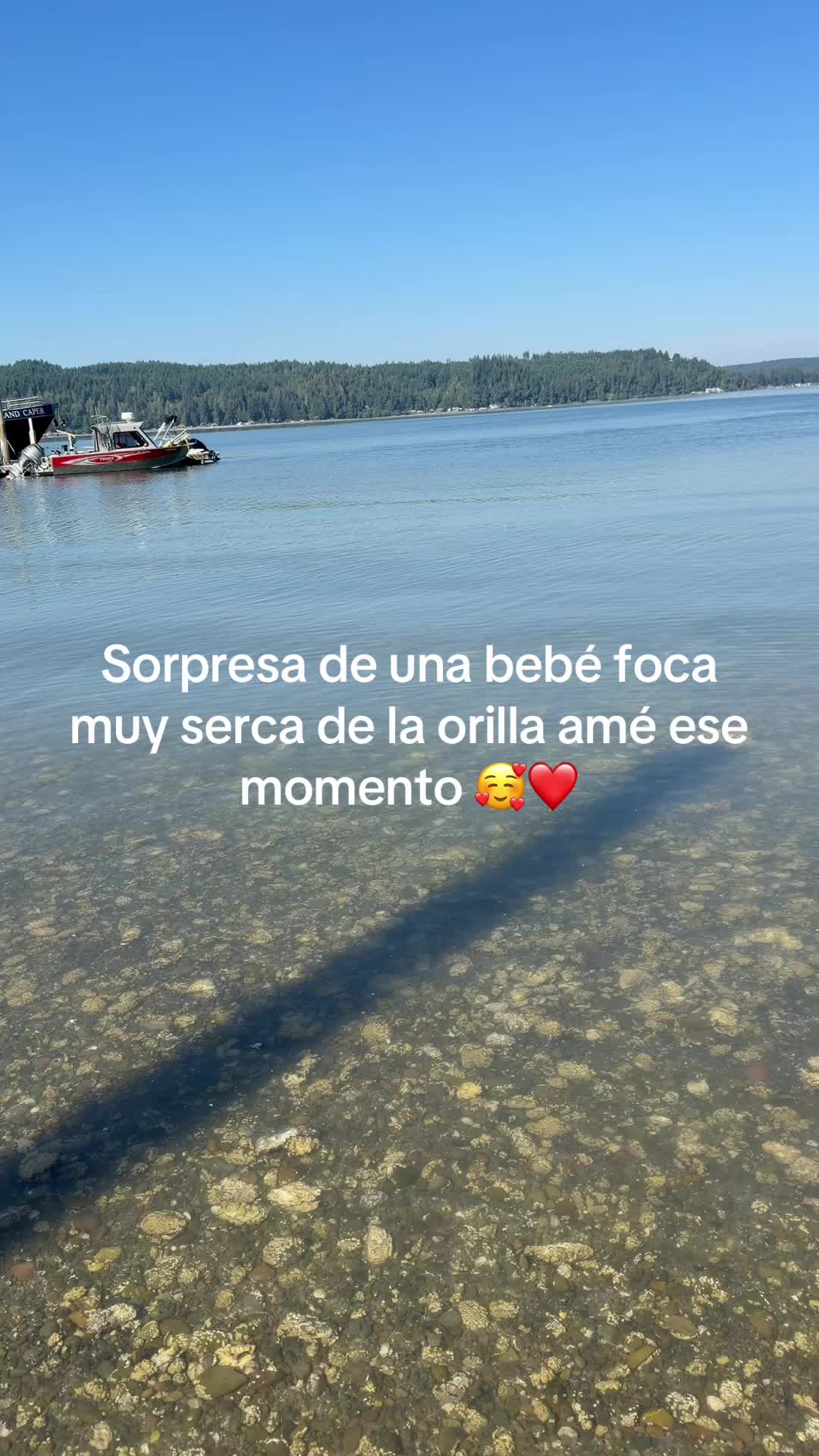 @nayysuscositas