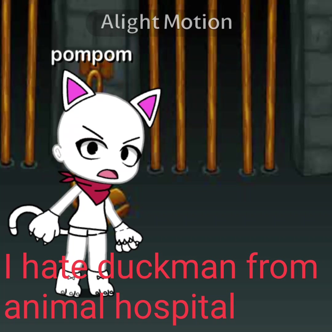 @pompom_cool2