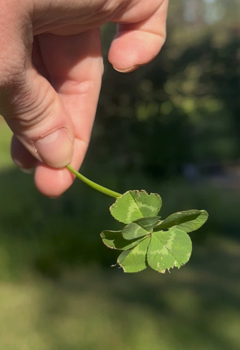 @Britt🍀