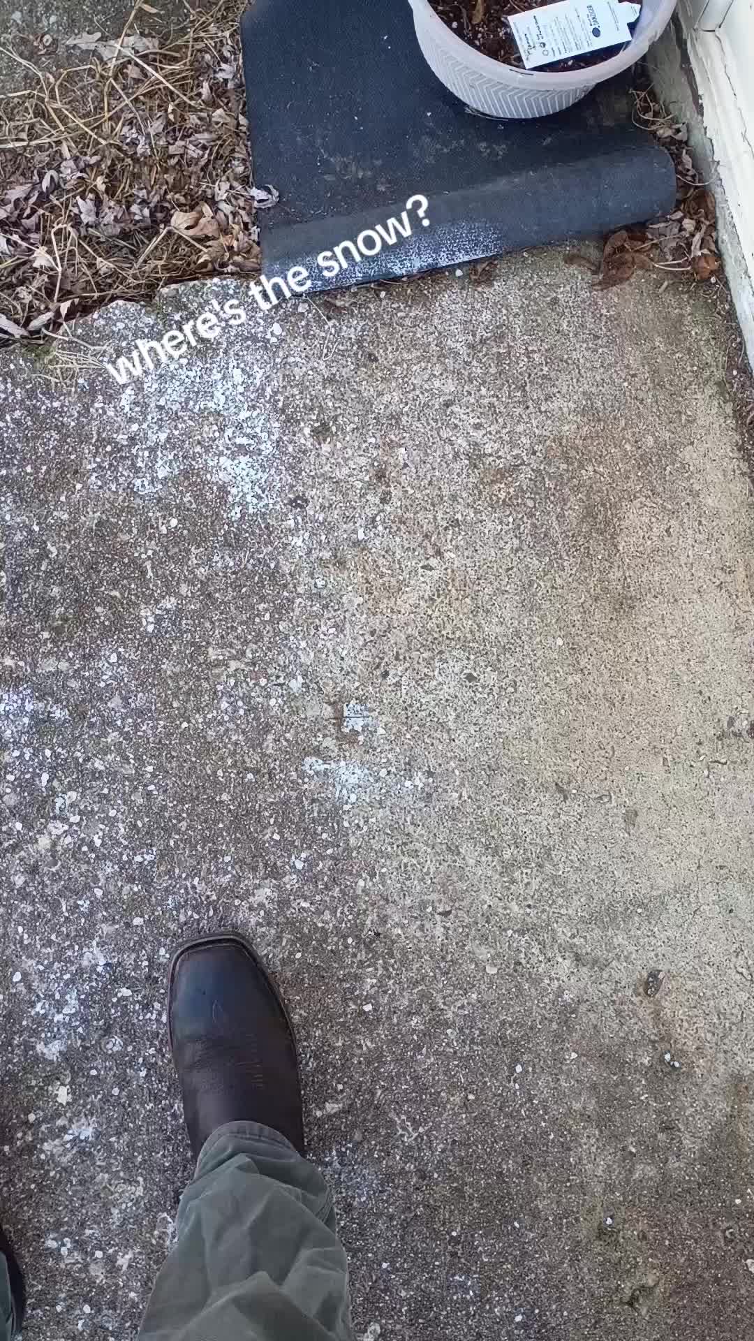 @ihass 22