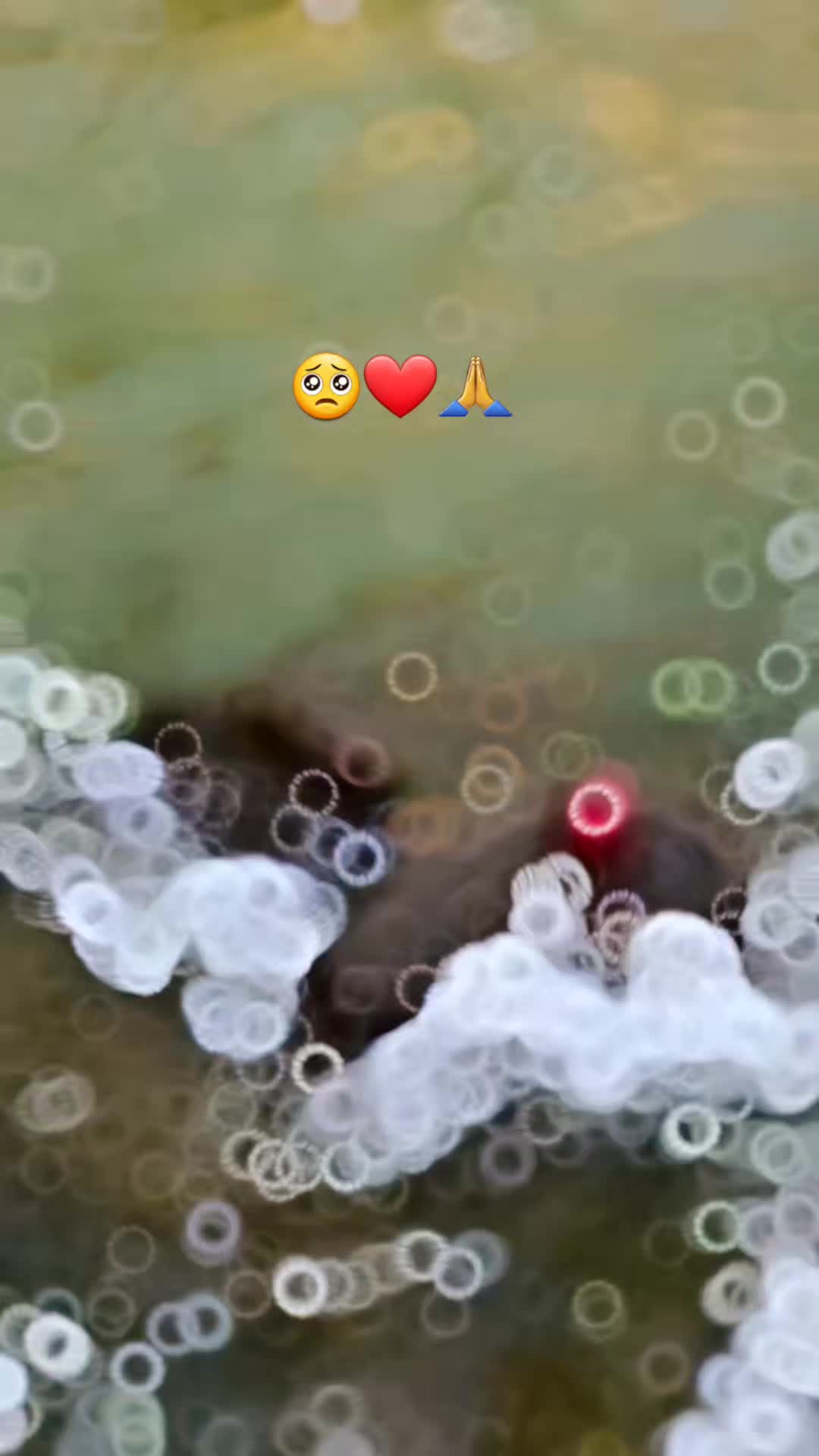 @🌙ऊं_नम _शिवाय 🔱📿🌍