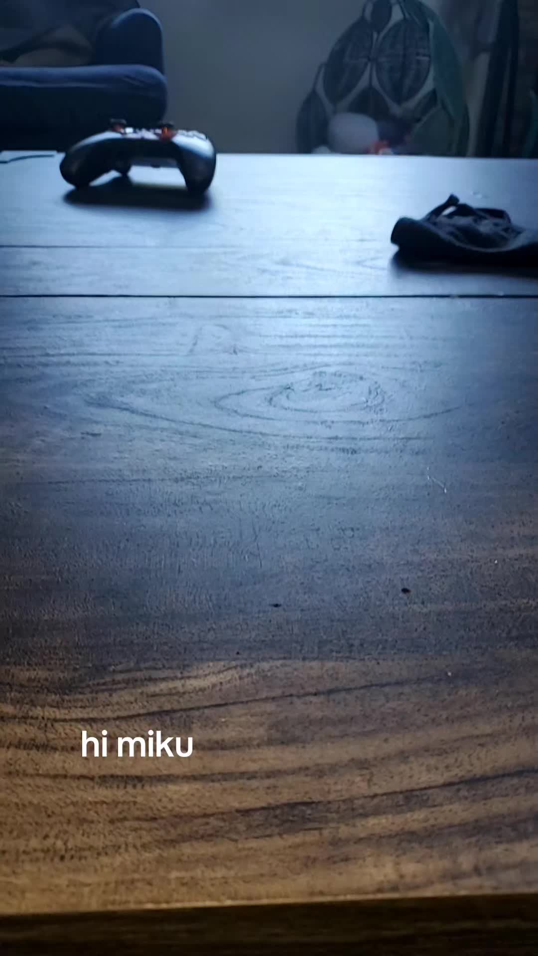 @blugirllz