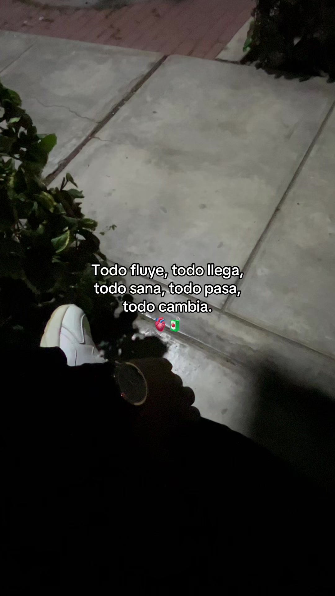 @Gatocix 🐱