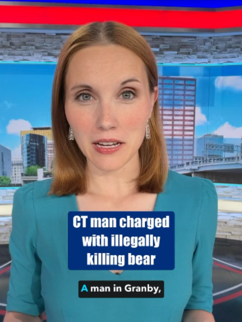 @wfsbnews