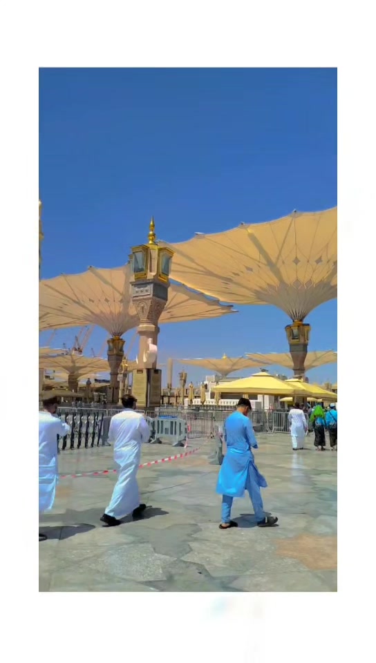 @ALi Asghar Awan 🇵🇰