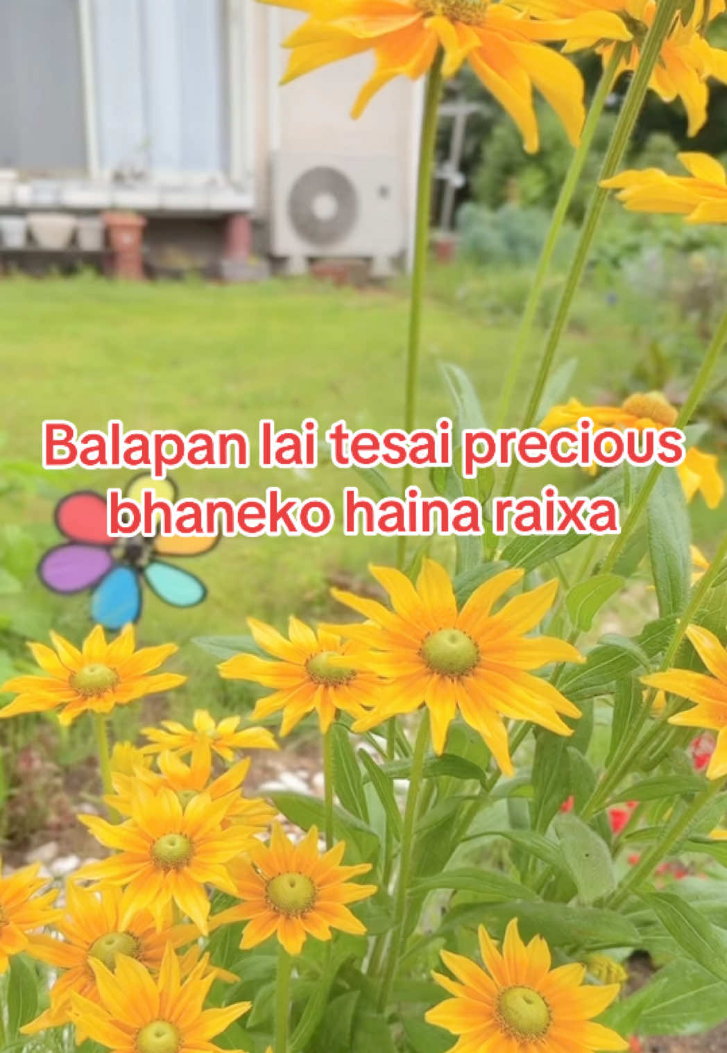 @🇳🇵KaSu(MOM)🇯🇵🪬