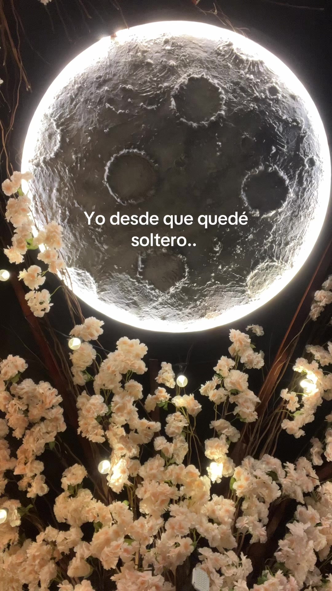 @Ungeminis000