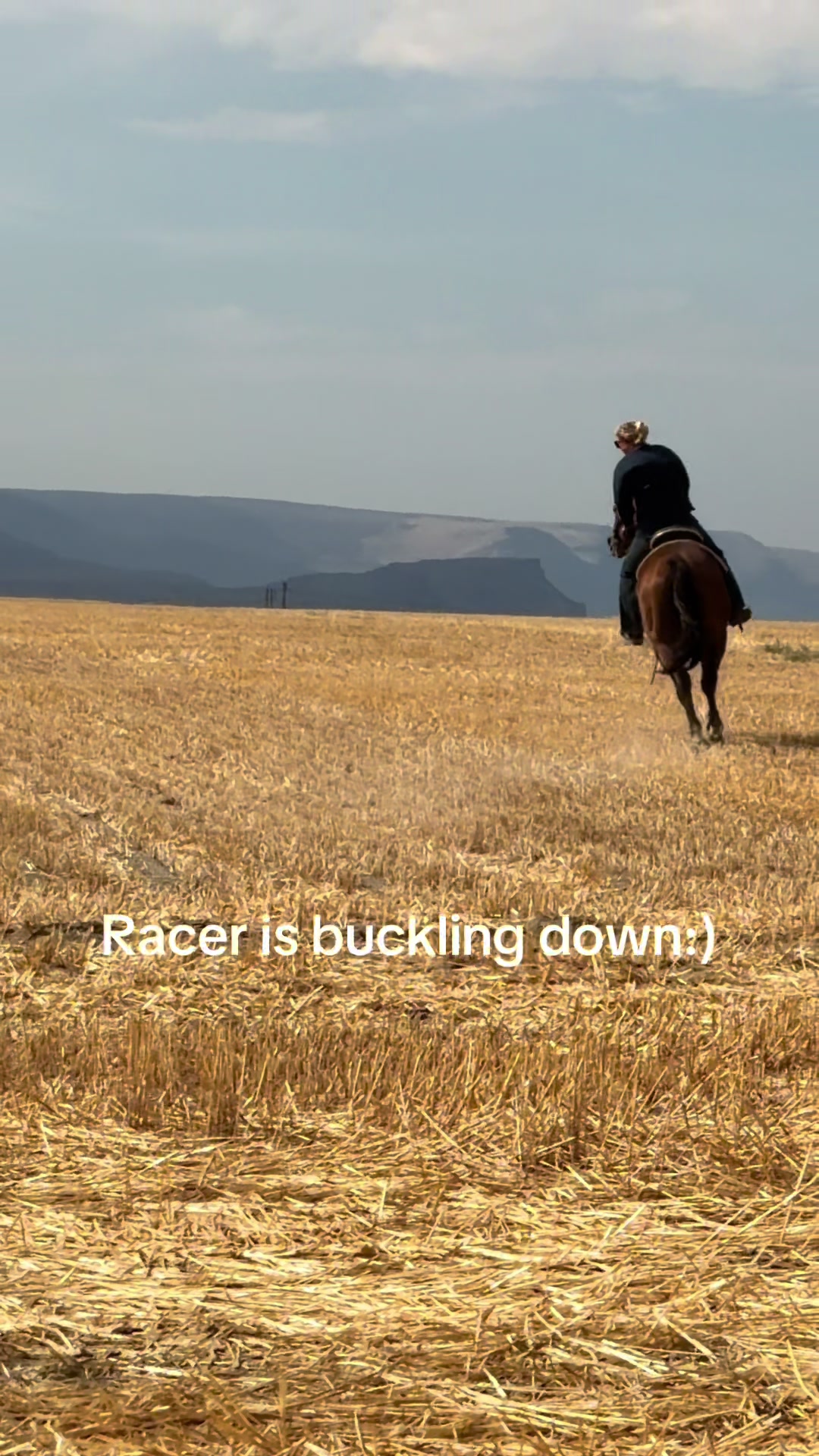 @Lawrace