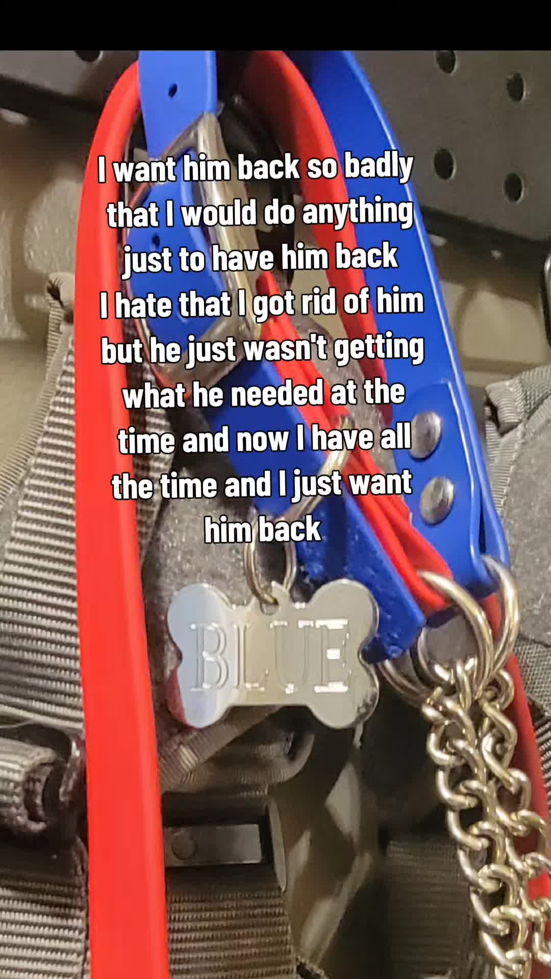 @Leo, Blitz & Dakota