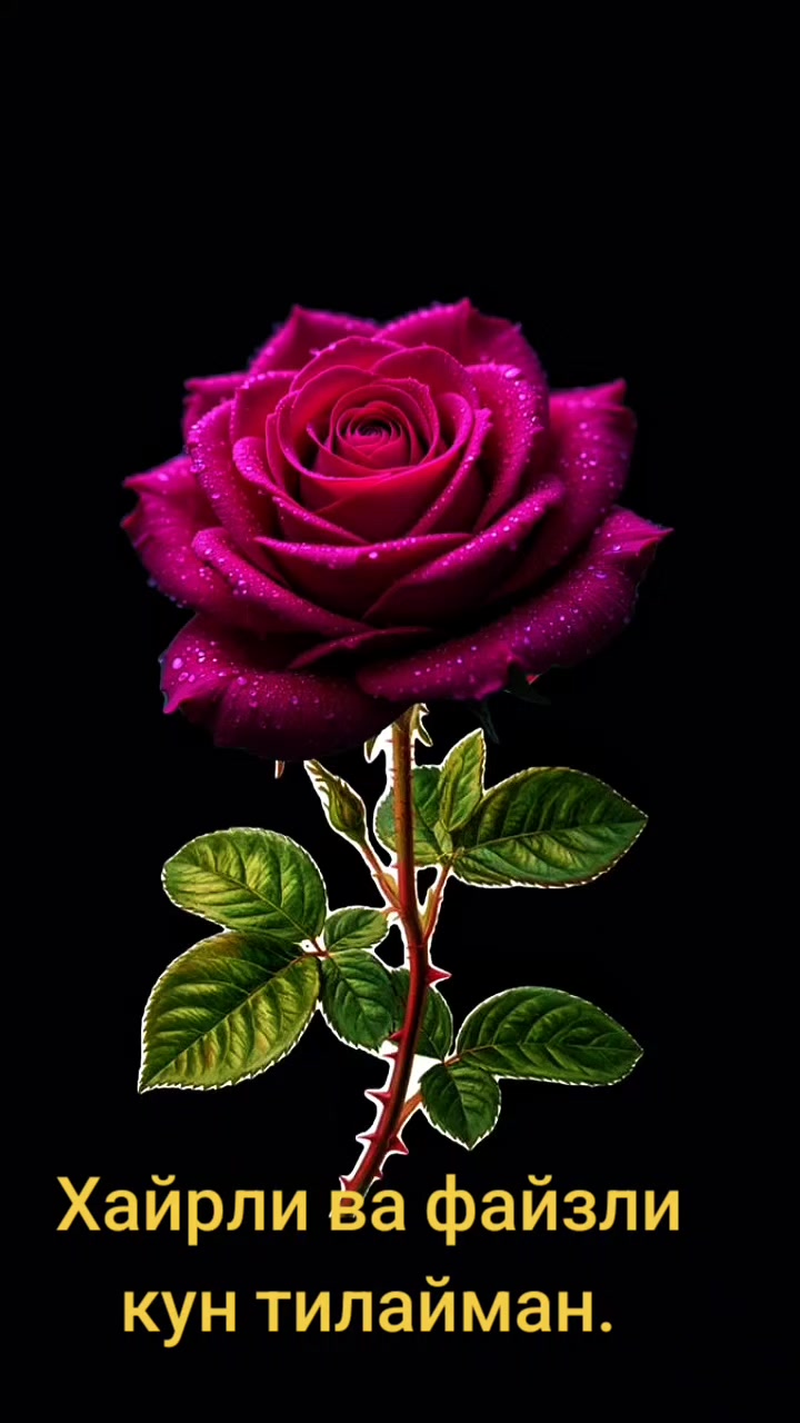 @RAYA_29_66