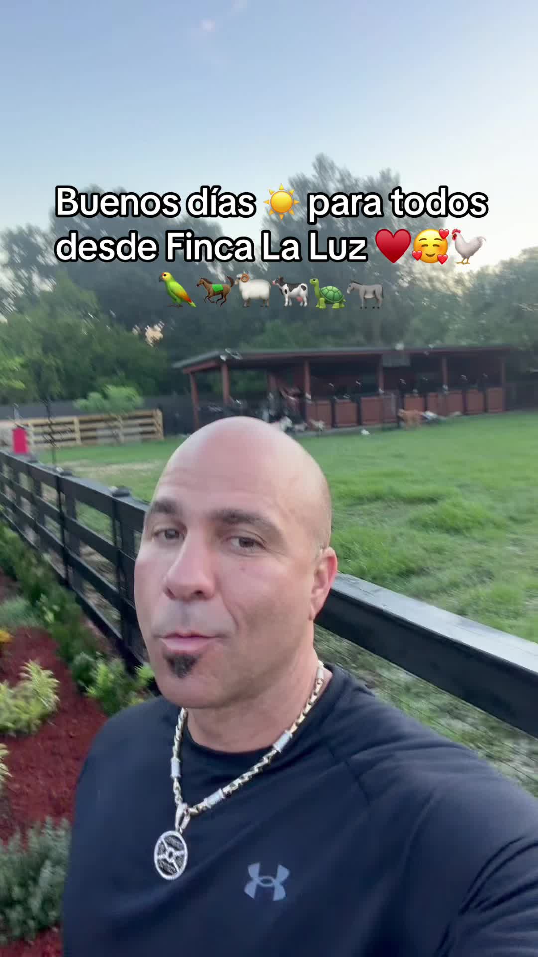 @Jorge Rodriguez