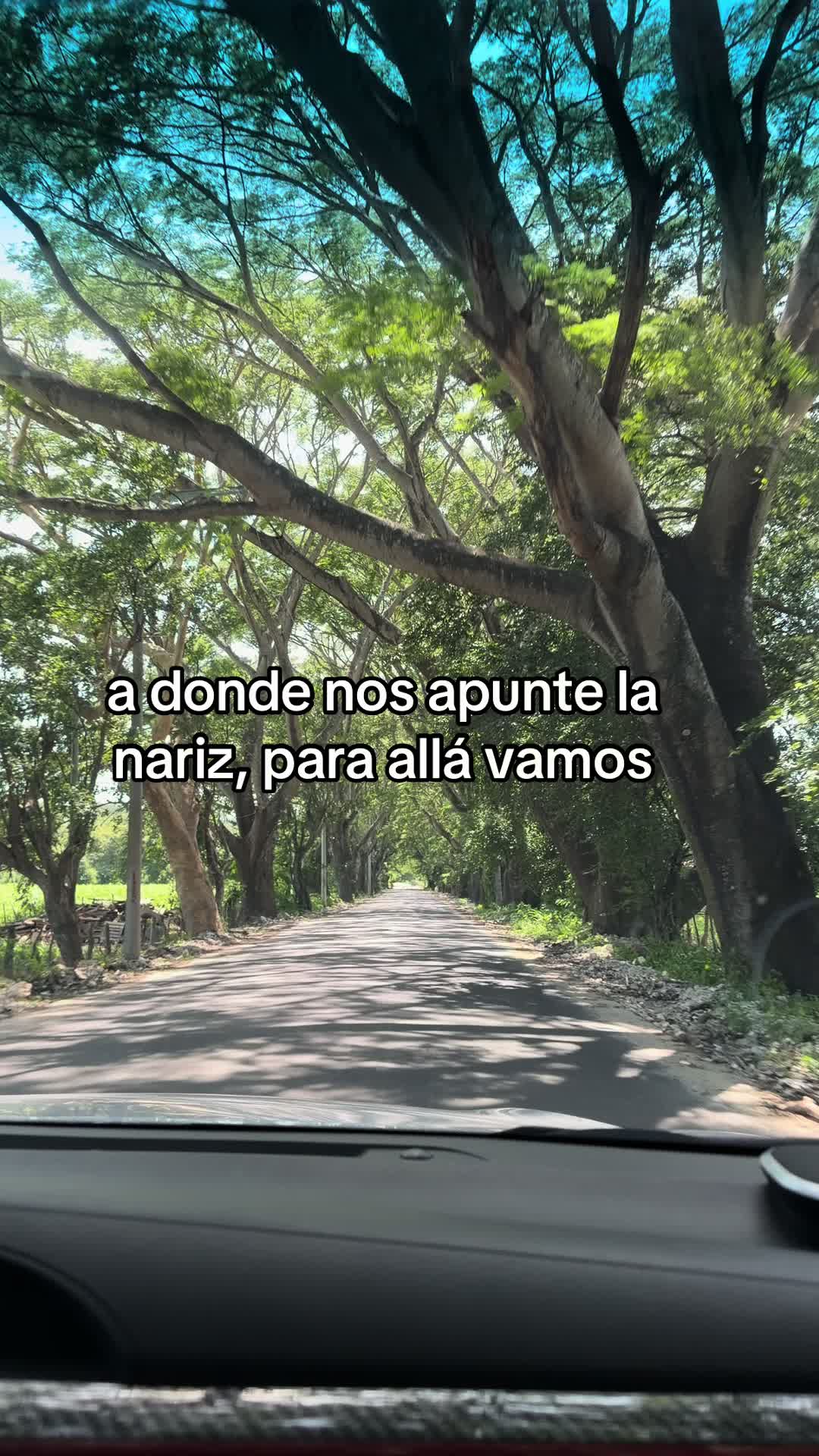 @myzargueta