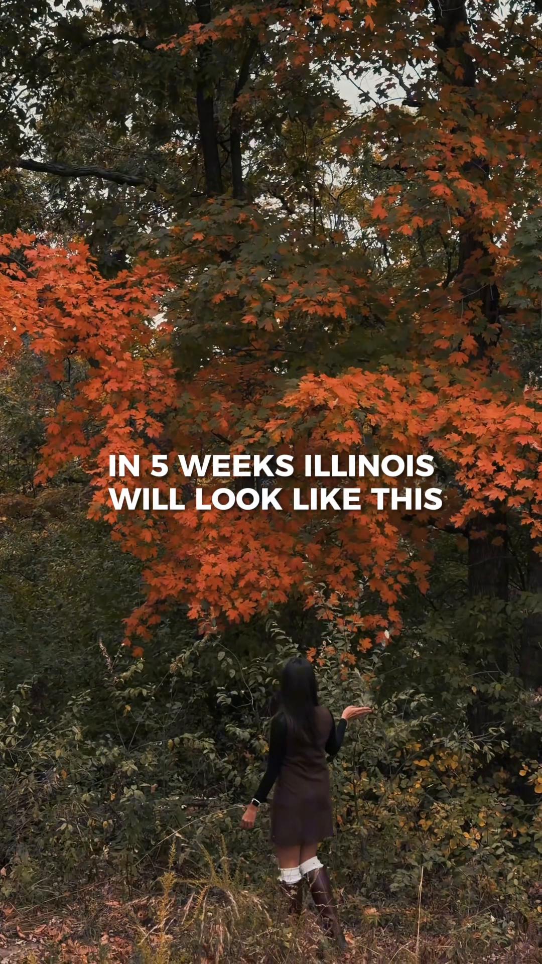 @Enjoy Illinois