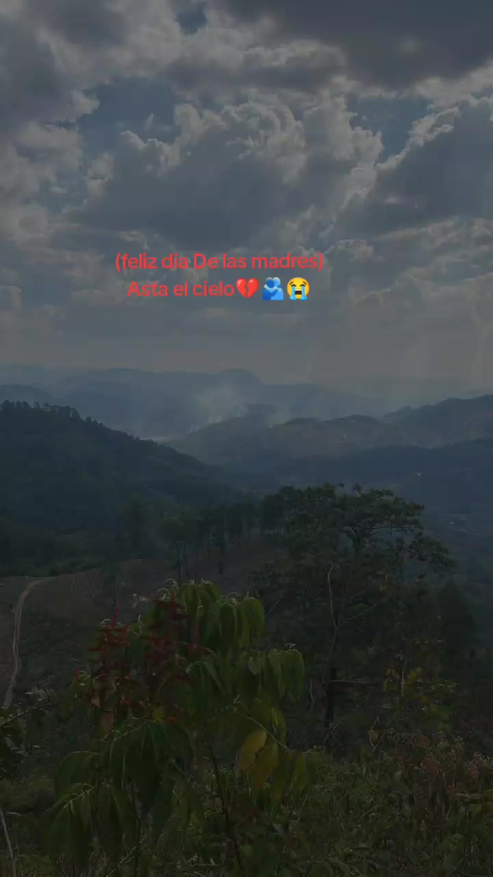 @🍀OLVIN_VL🍀