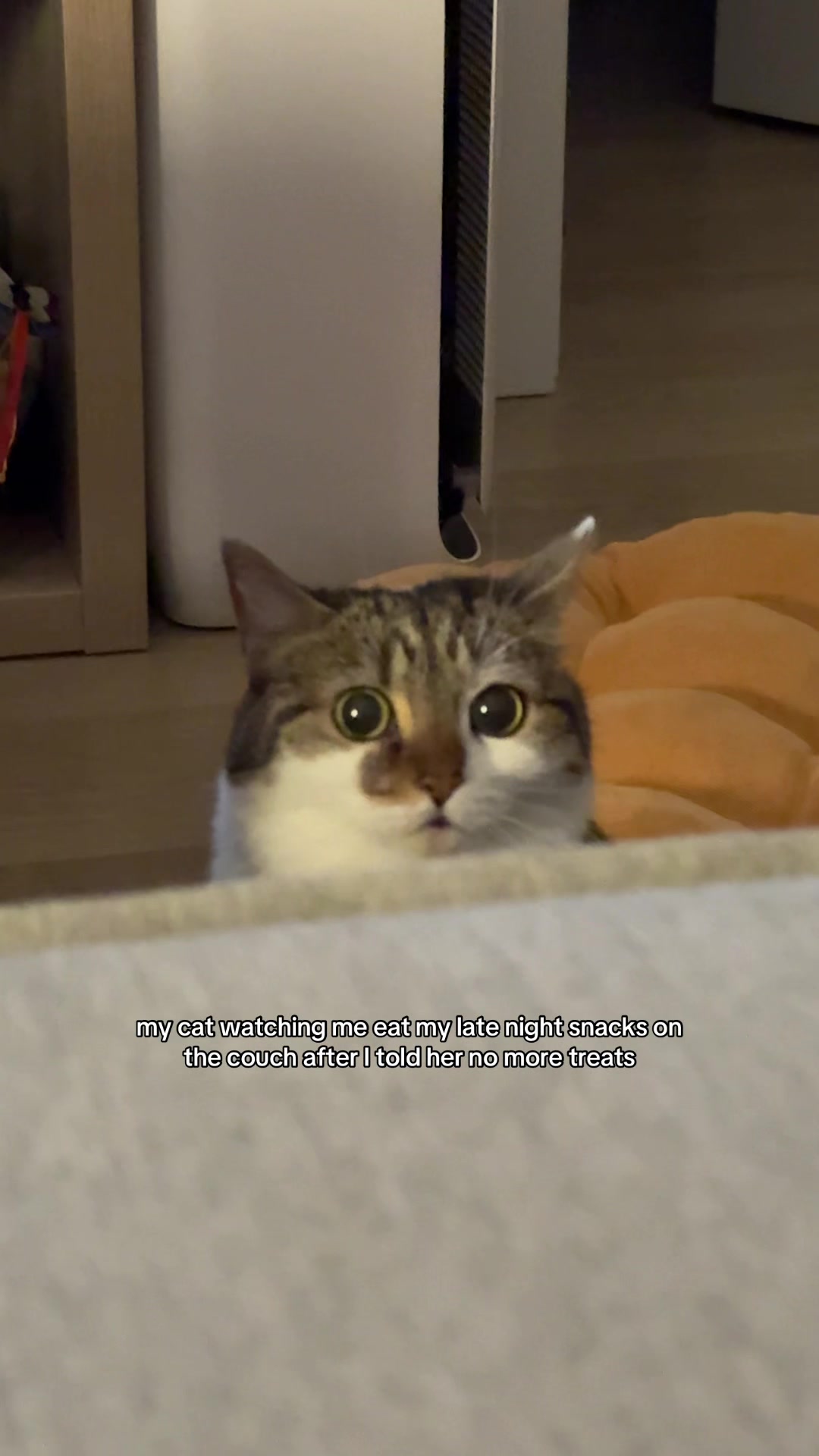 @Suki Purrs