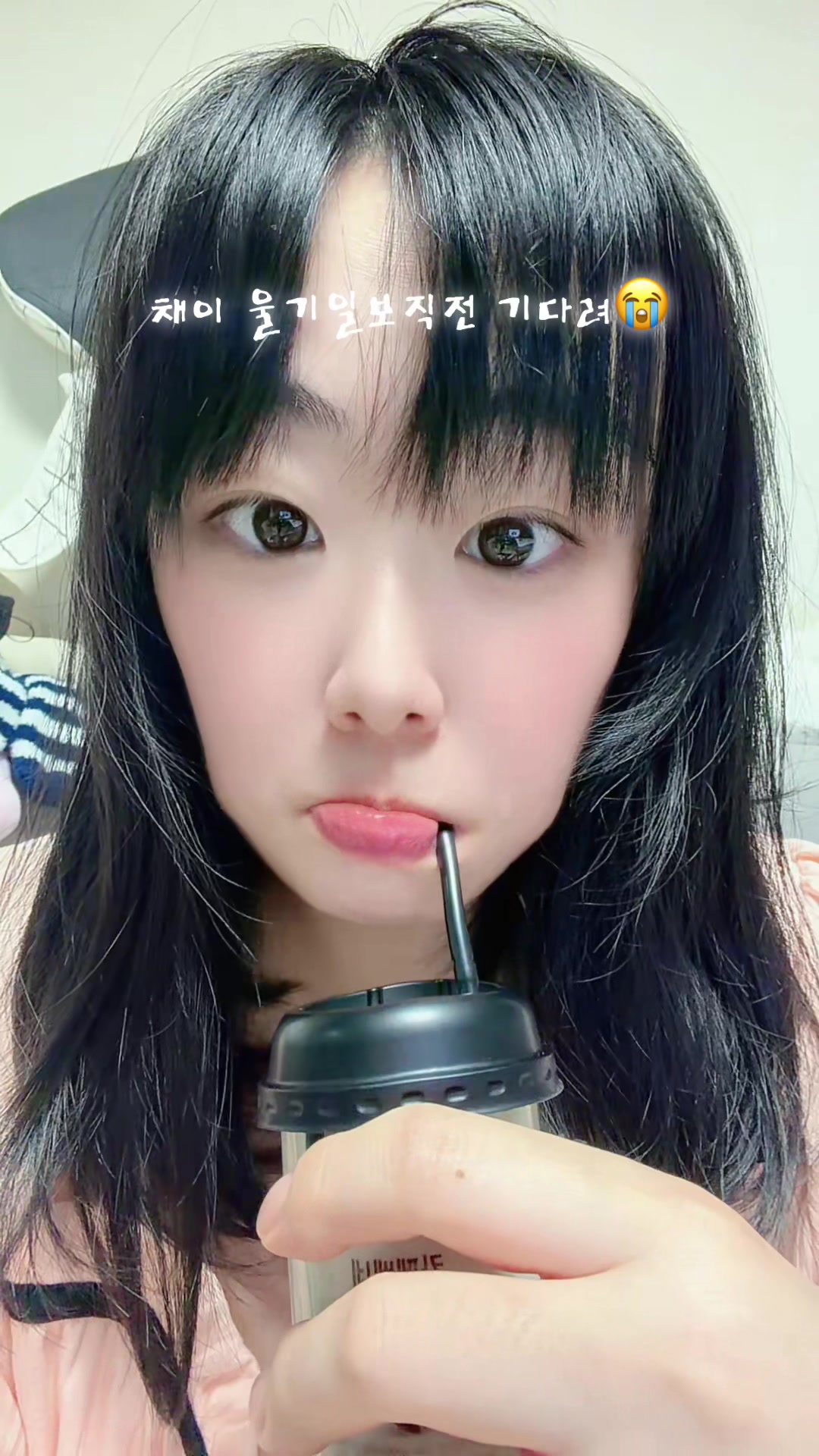 @복토끼🐰