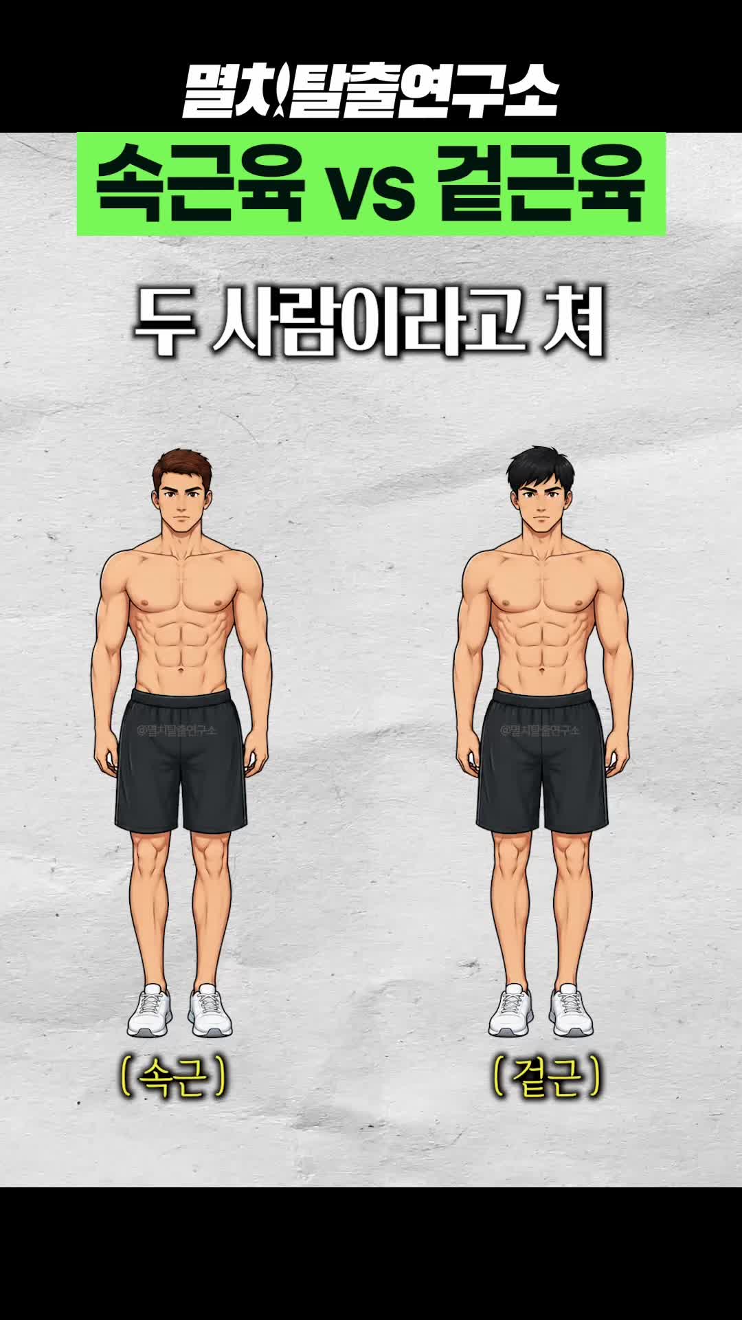 @멸치탈출연구소