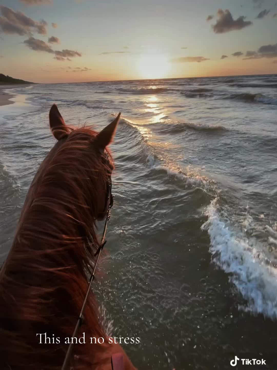 @s.equestrian