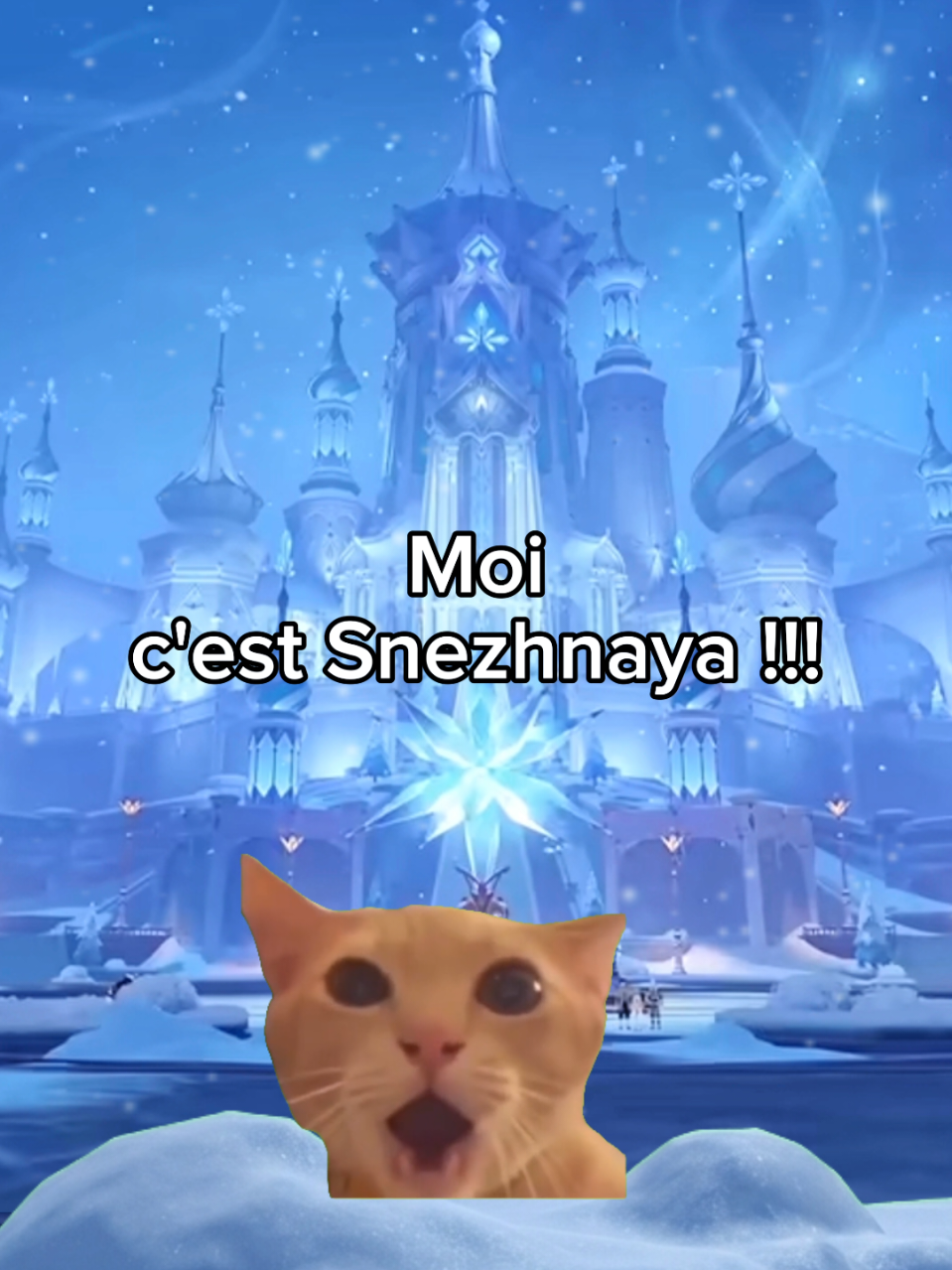 @shorts2chat 😽