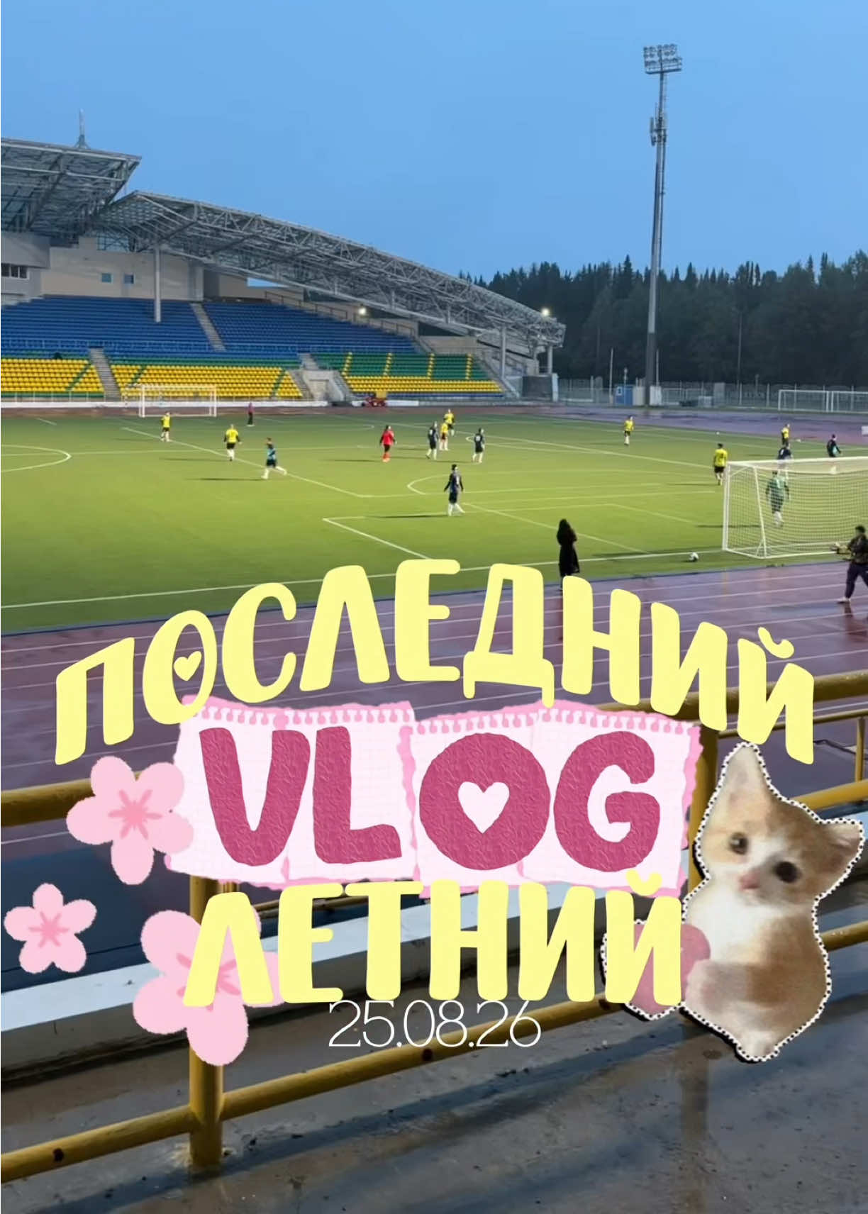 @vasiliskaa