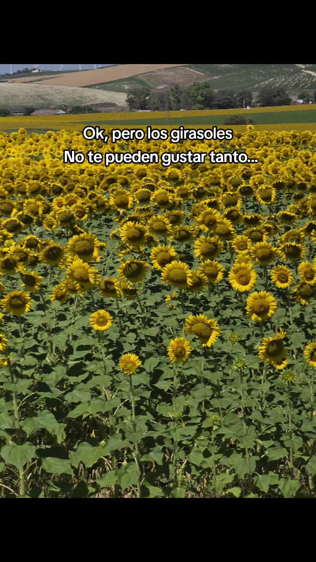 @Gabriela Campos