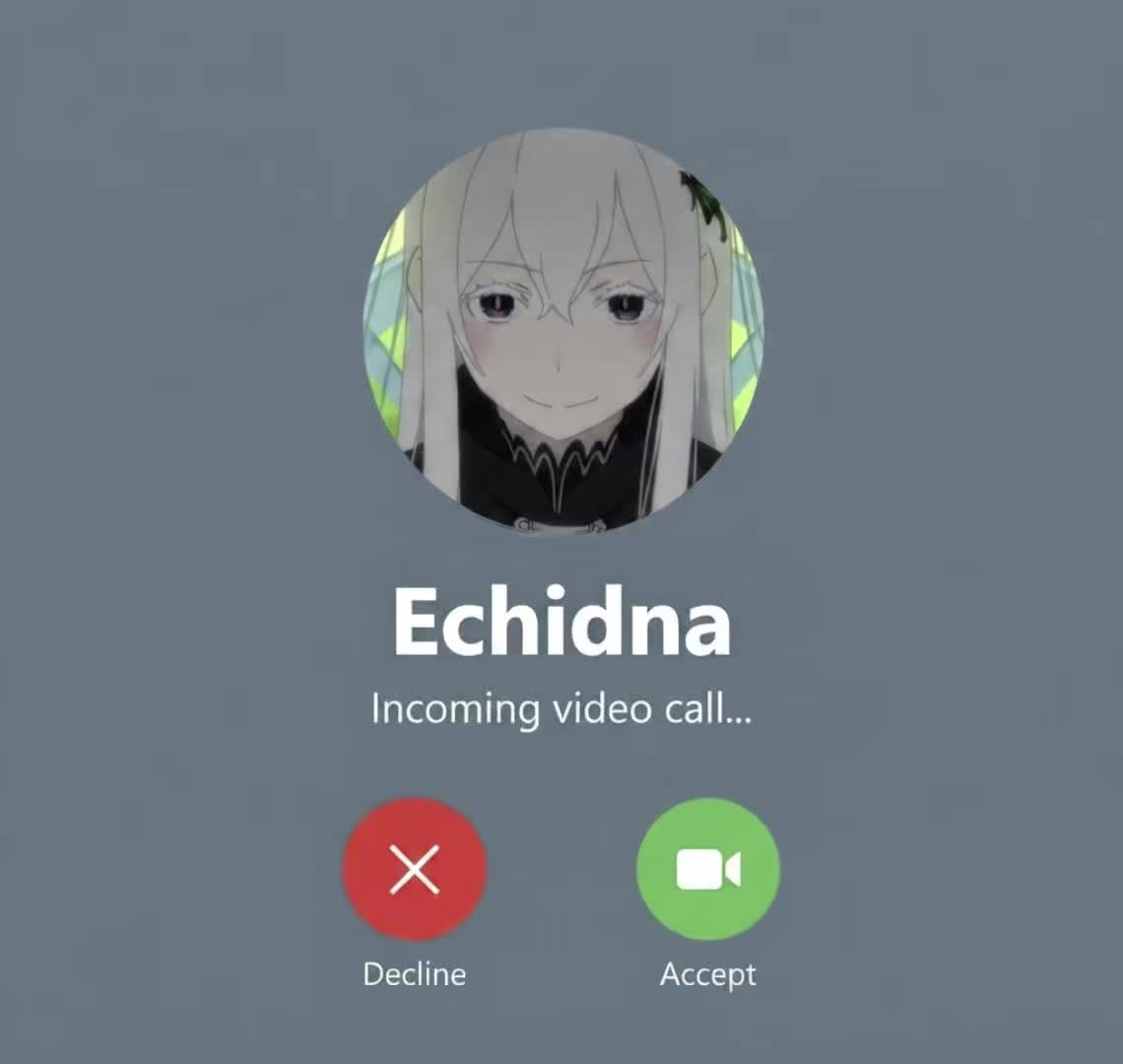 @Milkies/Echidna