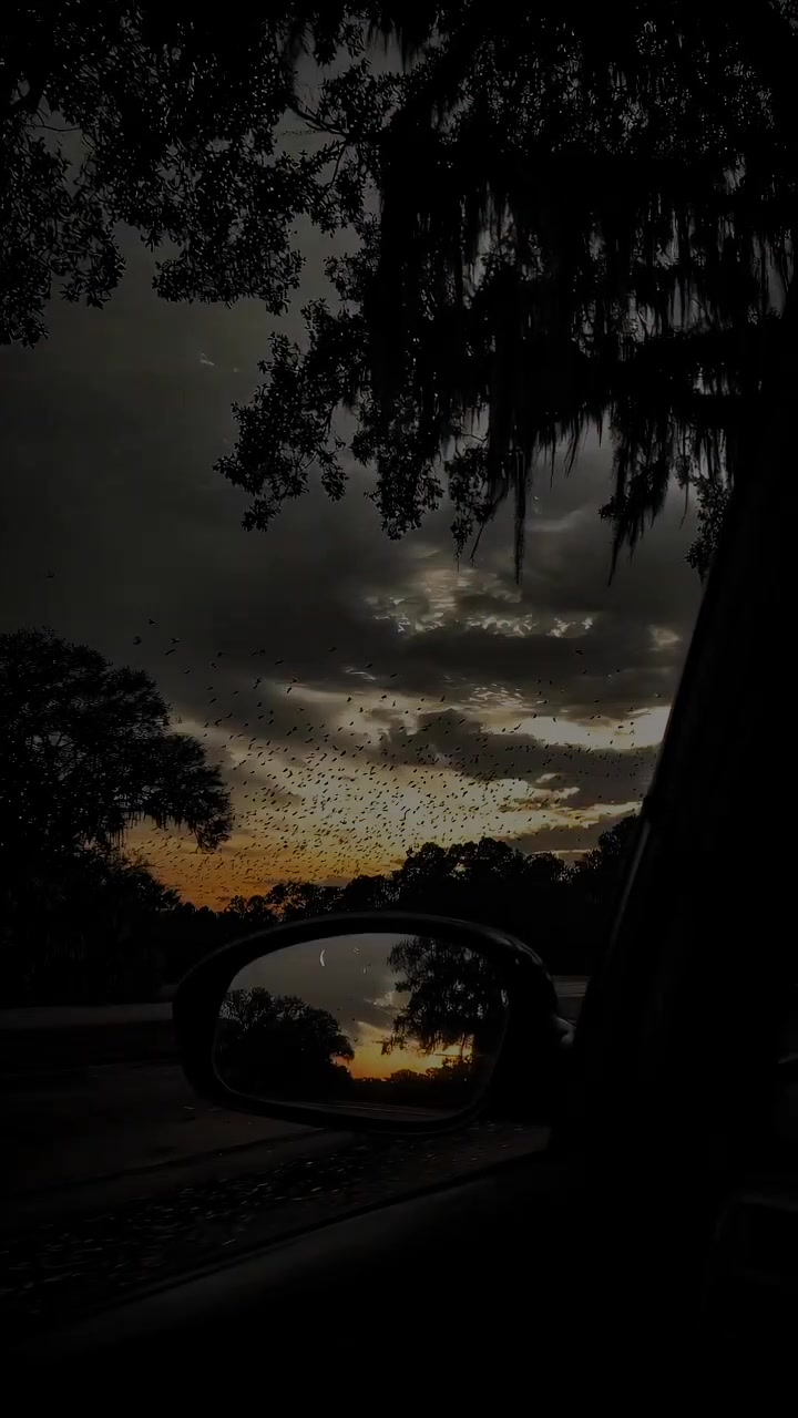 @Lofi