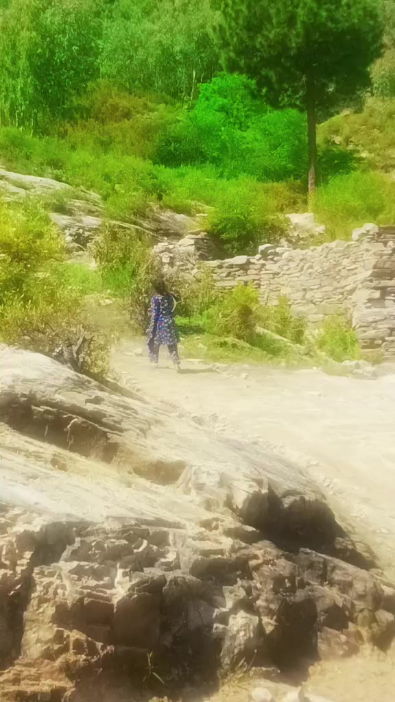 @waseem malang 🌹🌱🌷🌲🌳